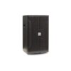 Full Range Speaker LEQI AUDIO ZX-12